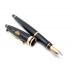 NEUF STYLO PLUME WATERMAN EXPERT GRAVE ICAO LAQUE NOIR + ECRIN FOUNTAIN PEN 315€