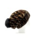 NEUF BONNET FENDI MONOGRAMME ZUCCA FNX085 S FOURRURE RENARD VISON NEW CAP FUR